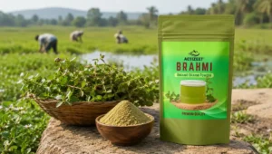 Brahmi Sourcing: The Complete Guide to Quality, Origin, and Potency