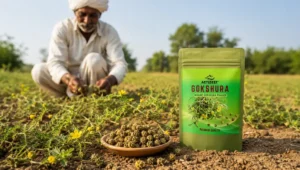 Gokshura Sourcing: The Complete Guide to Quality, Origin, and Potency
