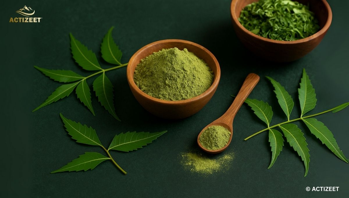 Best Neem Powder Brand in India: Purity, Wellness, and Tradition 2 How to use Neem Powder